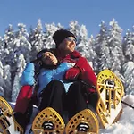 Dilly - Nationalpark 호텔 4*