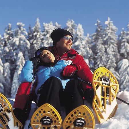 Dilly - Nationalpark Hotel 4*