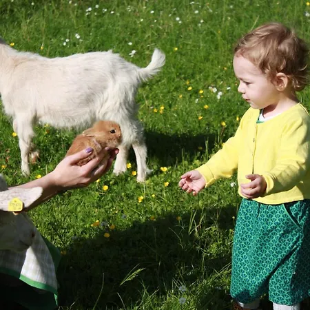 Hotel Dilly - Nationalpark Windischgarsten