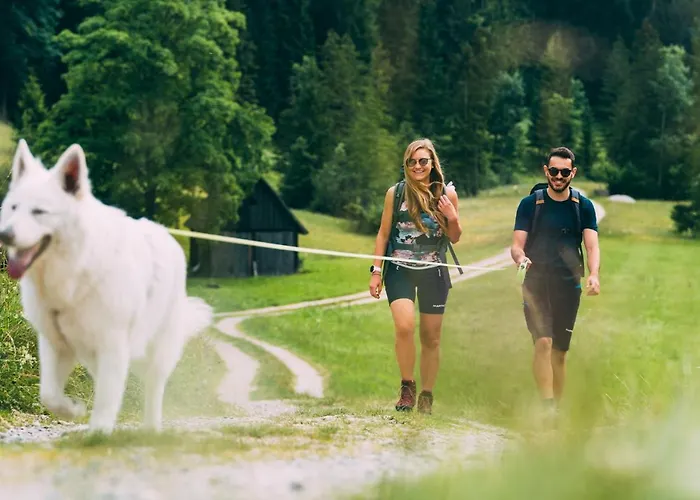 호텔 Dilly - Nationalpark 4*