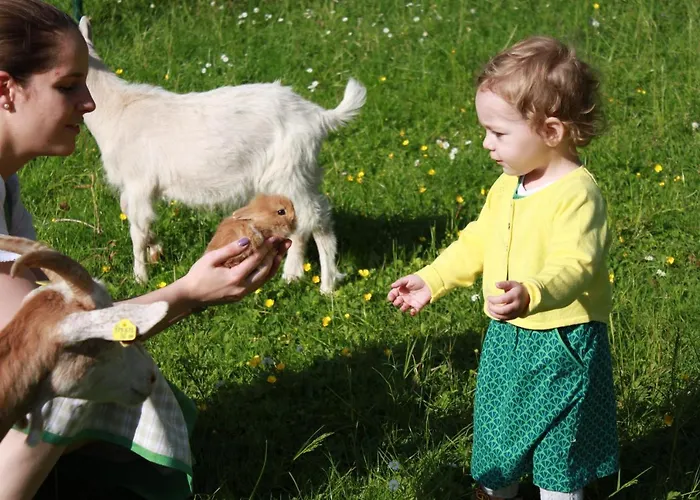 호텔 Dilly - Nationalpark 윈디슈가르스텐