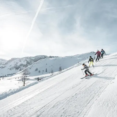 Dilly - Nationalpark 4* فينديشغارشتن